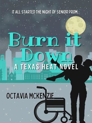 cover image of Burn it Down